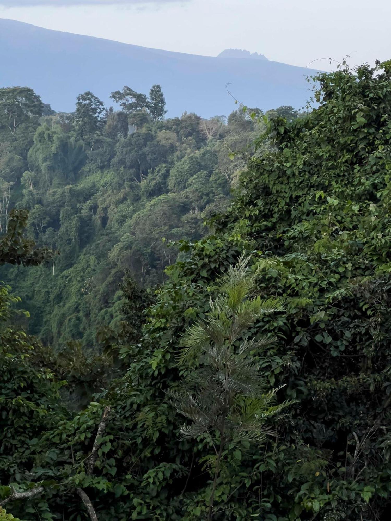 Kaliwa Lodge Moshi Ngoại thất bức ảnh
