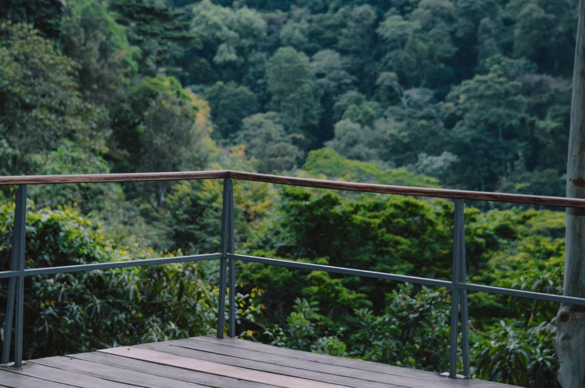 Kaliwa Lodge Moshi Ngoại thất bức ảnh