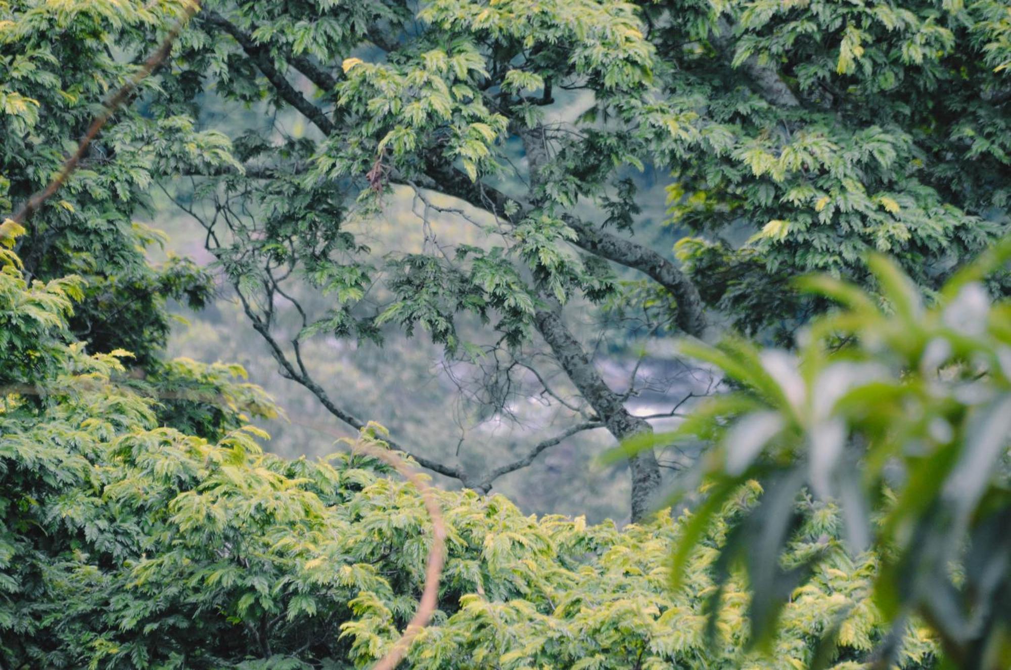 Kaliwa Lodge Moshi Ngoại thất bức ảnh