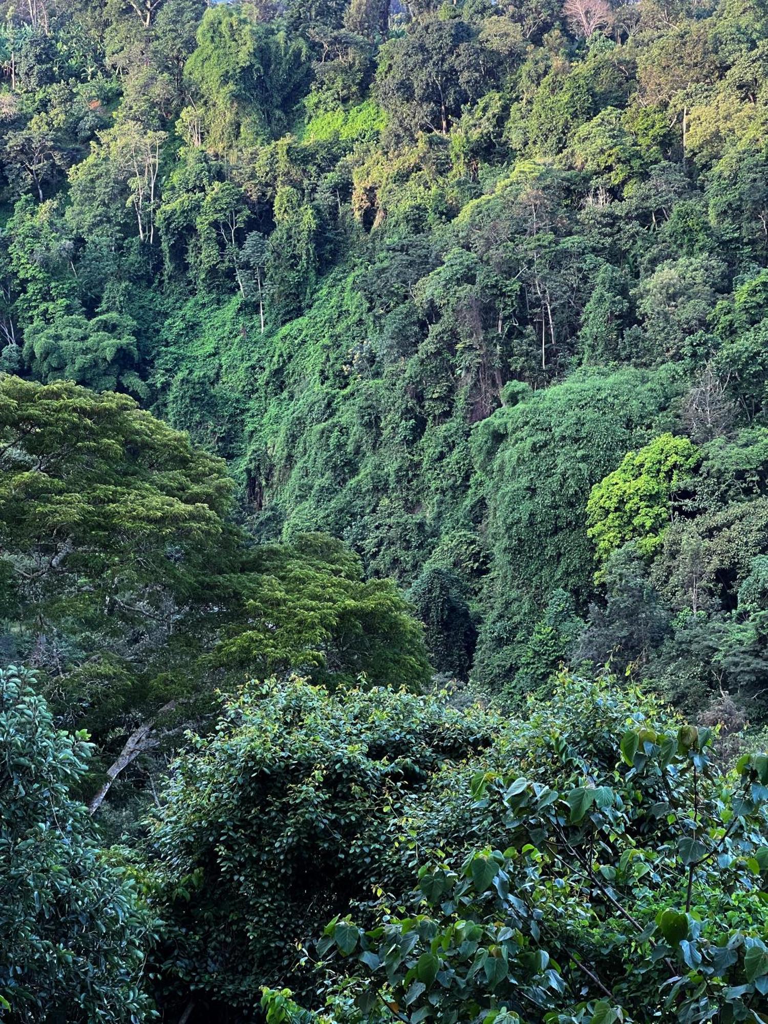 Kaliwa Lodge Moshi Ngoại thất bức ảnh