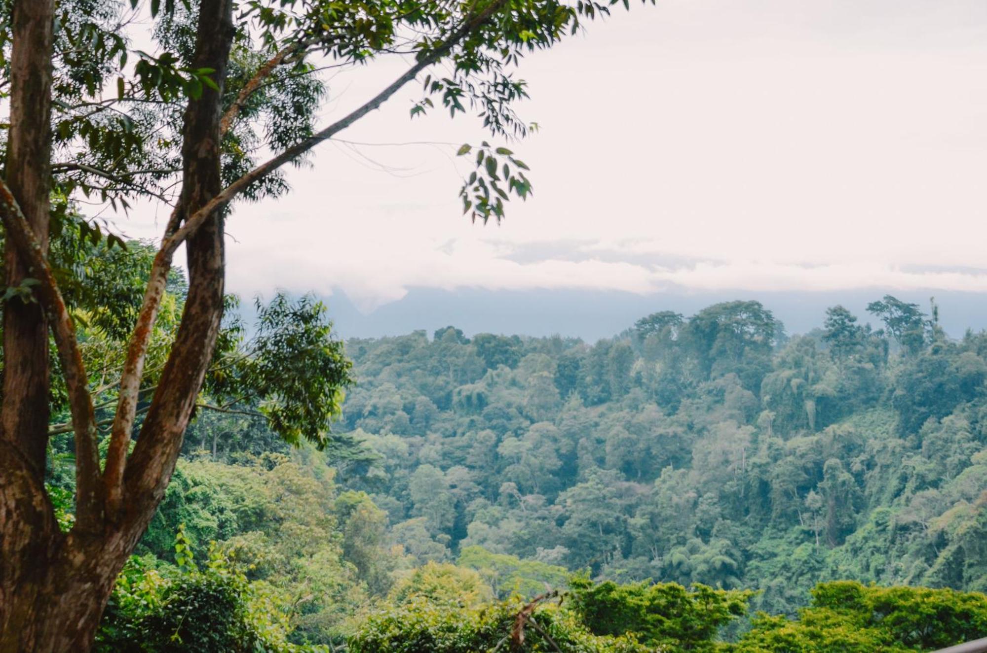 Kaliwa Lodge Moshi Ngoại thất bức ảnh