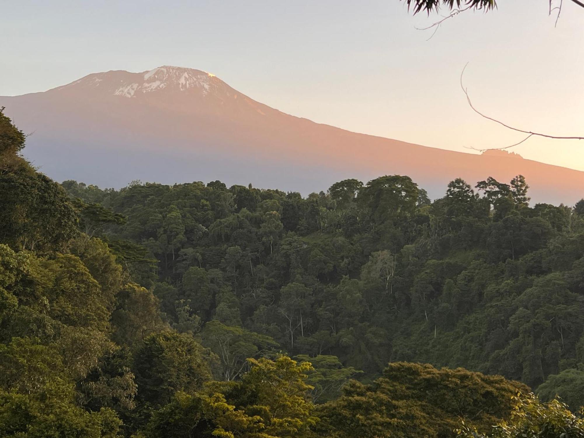 Kaliwa Lodge Moshi Ngoại thất bức ảnh