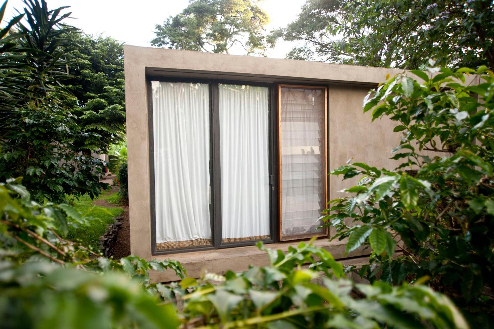 Kaliwa Lodge Moshi Phòng bức ảnh